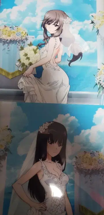 걸즈&판처 이에모토 클리어 파일 2장 세트