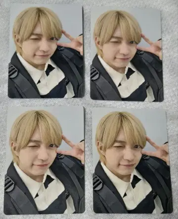 나니와단시 니시하타 다이고 트레이딩 카드