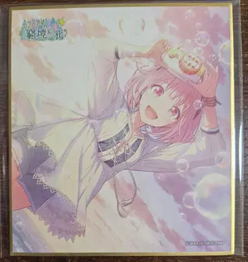 프로세카 호우 에무 미니 색지 34C