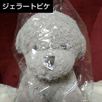 젤라또피케 토이 푸들 봉제 인형 GRY 미사용품
