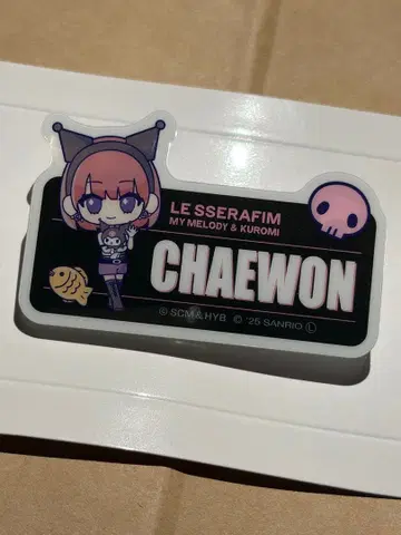 LE SSERAFIM CHAENWON 아크릴 네임 배지