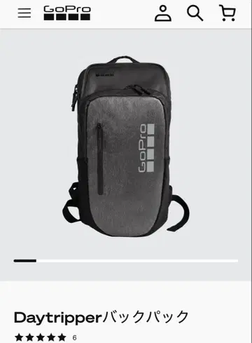 GoPro 백팩 Daytripper