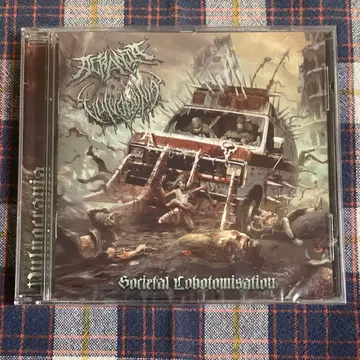 ACRANIA / VULVODYNIA SPLIT 데스코어 미개봉