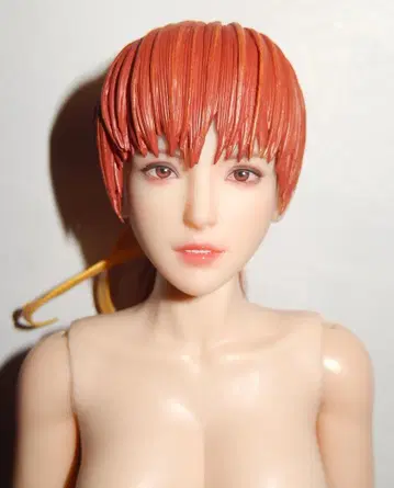 SUPER DUCK 1/6 쿠노이치 카스미 DOA 헤드 바디