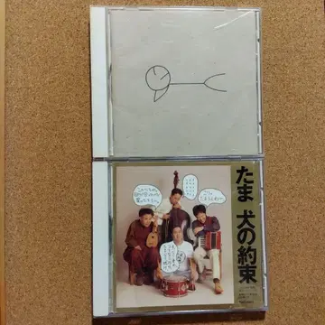 타마 개의 약속 낮잠