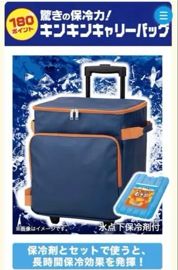 이토엔 건강 미네랄 보리차 킨킨 캐리 백