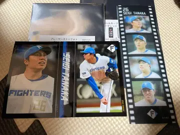 다나카 세이시 미니 사진, 실키 사진 프레임