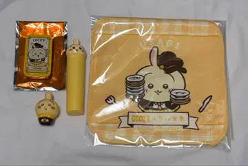 코스 토끼 굿즈 빅스 토끼 케이스 세트