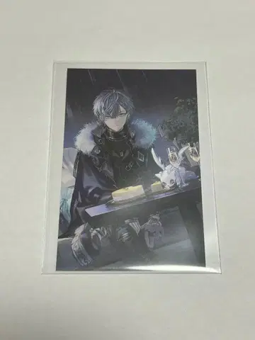 코야나기 로우 노스탤지어 컬렉션 2025