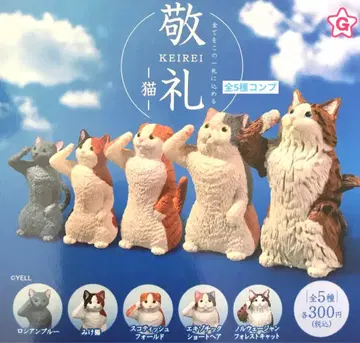 경례~고양이~ 전5종 컴플리트