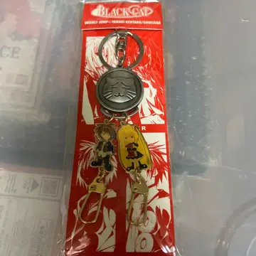 BLACK CAT 키링 기차 이브 골드 컬러의 어둠 점프 응모자 전원