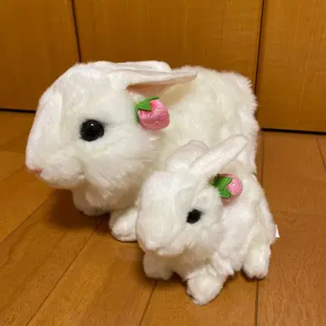 오로라 AURORA 화이트 토끼 봉제 인형 세트