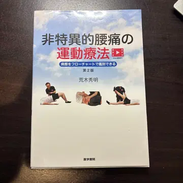 비특이적 요통의 운동 요법 : 병태를 플로 차트로 감별할 수 있다
