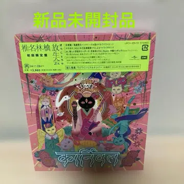 호조에 초회 한정판 시이나 링고