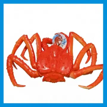 타라바가니 액션 피규어 BIG