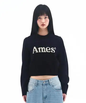 AMESWORLDWIDE 스웨터 BASIC PULLOVER KNIT