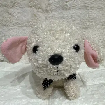 코코, 거꾸로 서서 움직이는 로봇 반려동물