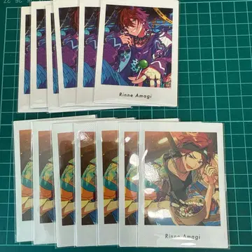 파샤츠 아마기 린네