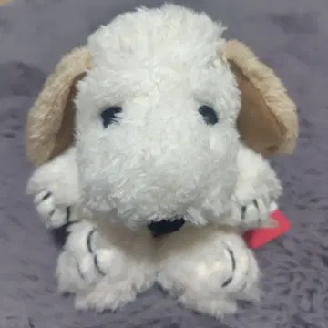 푹신푹신 스누피 앤디