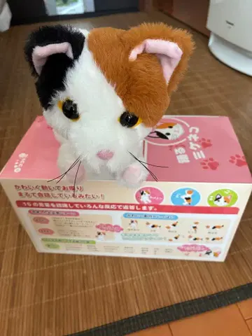 코코돌 춤추는 미케 고양이