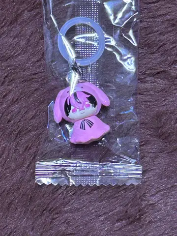 시쿠포니 메지루시 액세서리