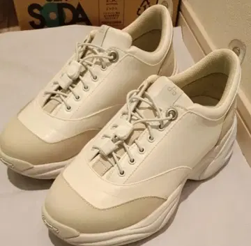 oao AUTH WHITE 26.0cm