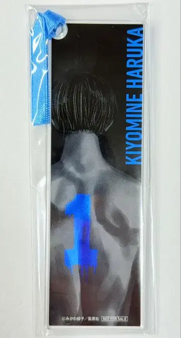 100명 한정판 당선품 망각 배터리 아크릴 책갈피 청봉하류화