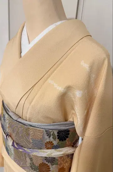 새상품급 쥐어짜기 가로 줄무늬에 불어 모은 무늬 자수 츠케사게 호몬기