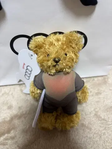 아우디 마이스터 베어 서핑ver.