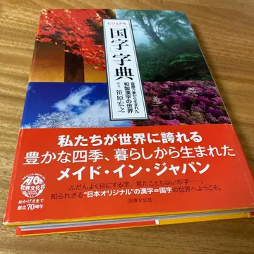 비주얼 [국자] 사전