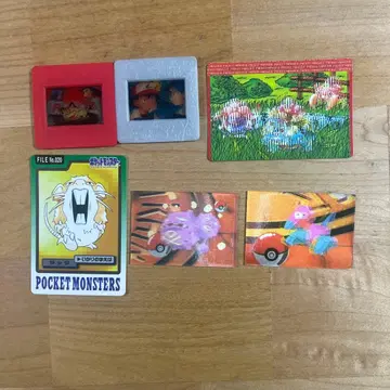 포켓몬 피처 프레임 카드 세트