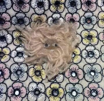 미나 페르호넨 생큐베리 배치 moorii 모리