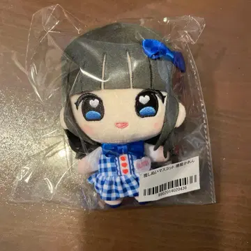 소라시 카렌 최애 봉제 인형