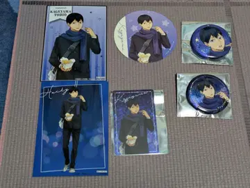 하이큐 코스모 월드 카게야마 토비오 세트