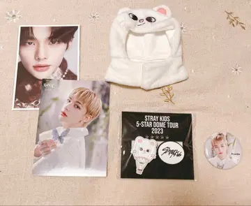 Stray Kids HYUNJIN 굿즈세트 현진 지니레트
