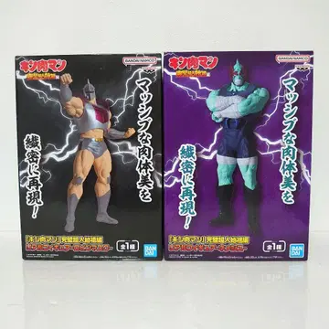 근육맨 완벽초인시조편 로빈 마스크 네메시스 2세트