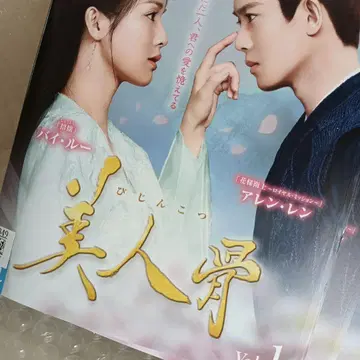 미인골 DVD 중국 드라마 전권 아렌 렌 바이 루