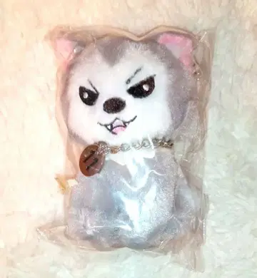 슈야 슈가르 미개봉 새상품 초특급 생일 봉제 인형