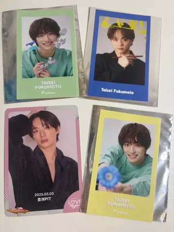 후쿠모토 타이세이 Taisei Fukamoto 사진 세트 4매