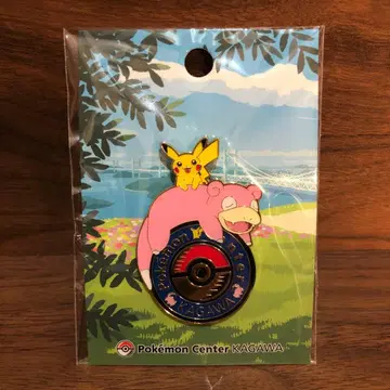 야돈 포켓몬 센터 카가와 핑 배지 핑 배지