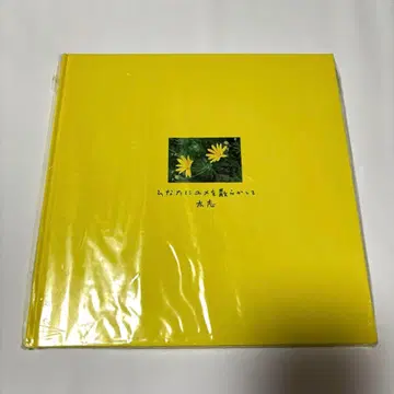 [새상품급] 히나타에 꿈을 흩뿌리다 Aqua Timez 후토시 시집