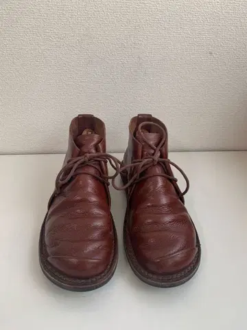 trippen 38 브라운