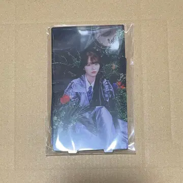 사쿠라자카46 모리야 레이나 사쿠콜레 컴플리트 아크릴 스탠드