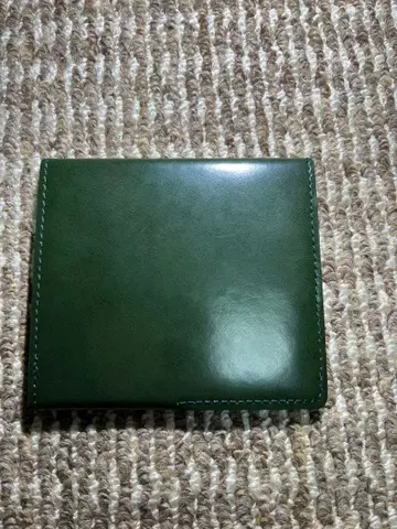 abrAsas 슬림 접이식 지갑 그린