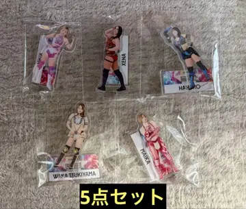 마이카 츠키야마 와카 리안 HANAKO 지나 아크릴 스탠드 복권 스타덤