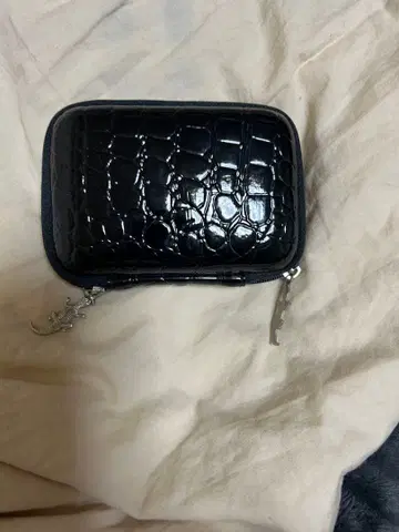 애니에스 디지털 카메라 케이스