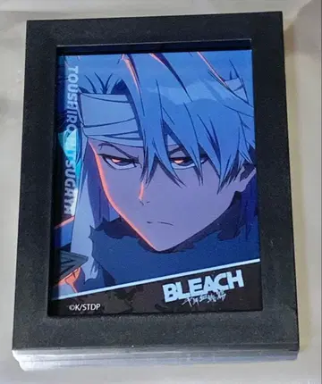 BLEACH 히즈카야 토시로 프레임 마그넷