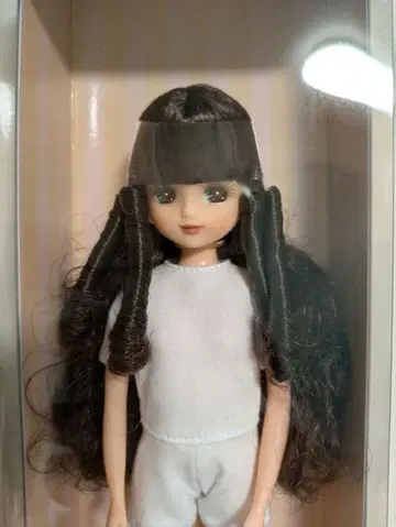 리카짱 캐슬 2025년 11월 리카짱 컬렉션