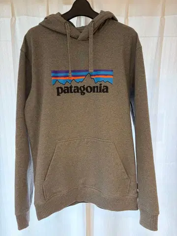 파타고니아 후드티 M 사이즈 patagonia foodie