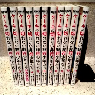 케이크를 자르지 못하는 비행 소년들 1~11권 세트